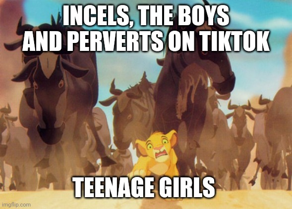 Lion King Stampede | INCELS, THE BOYS AND PERVERTS ON TIKTOK; TEENAGE GIRLS | image tagged in lion king stampede,memes,tiktok | made w/ Imgflip meme maker