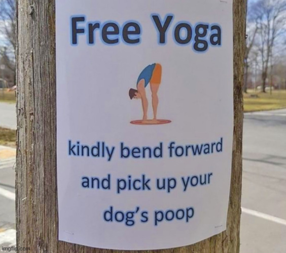 badda-bing repost just like almost every other one - don't be an april fool | image tagged in yoga,dog poop,repost,copy,check cartoons,duh | made w/ Imgflip meme maker