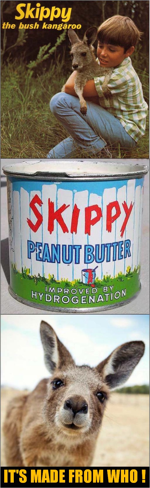 Delicious Skippy ? | IT'S MADE FROM WHO ! | image tagged in fun,skippy,kangaroo,peanut butter | made w/ Imgflip meme maker