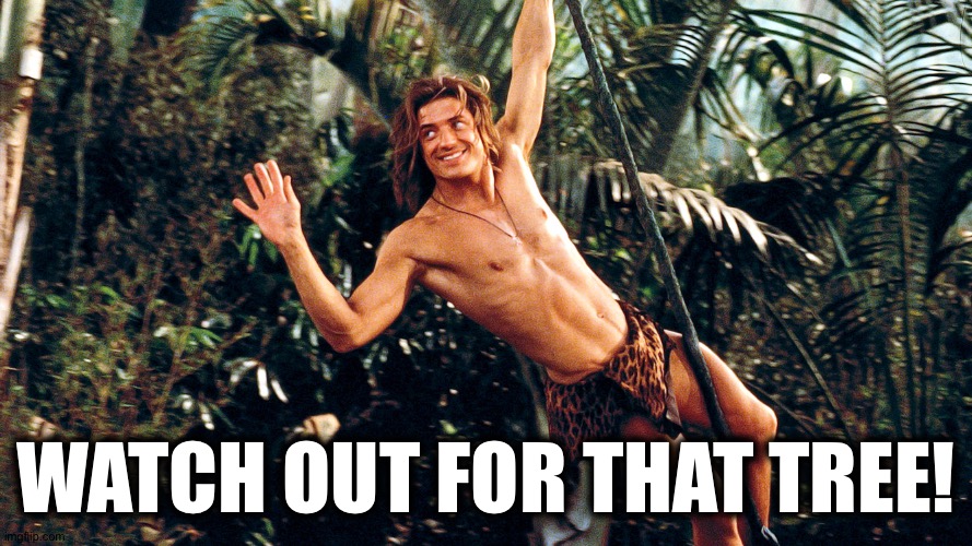 George of the Jungle | WATCH OUT FOR THAT TREE! | image tagged in george of the jungle | made w/ Imgflip meme maker