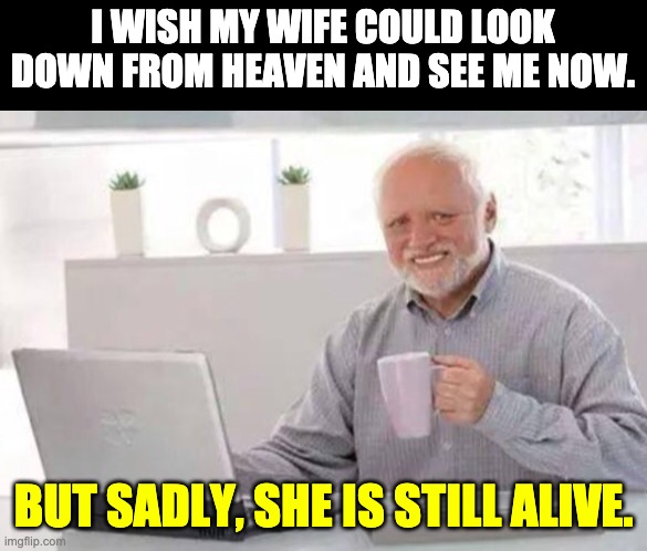 Heaven | I WISH MY WIFE COULD LOOK DOWN FROM HEAVEN AND SEE ME NOW. BUT SADLY, SHE IS STILL ALIVE. | image tagged in harold | made w/ Imgflip meme maker