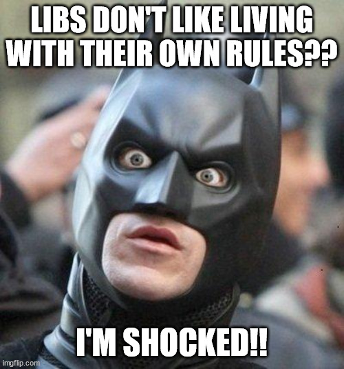 Shocked Batman | LIBS DON'T LIKE LIVING WITH THEIR OWN RULES?? I'M SHOCKED!! | image tagged in shocked batman | made w/ Imgflip meme maker