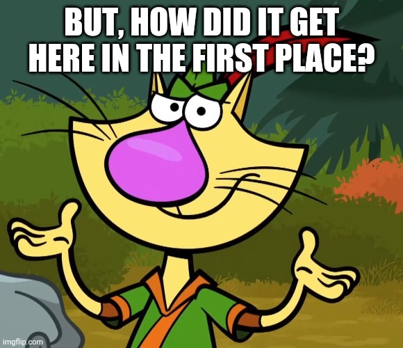 Confused Nature Cat 2 | BUT, HOW DID IT GET HERE IN THE FIRST PLACE? | image tagged in confused nature cat 2 | made w/ Imgflip meme maker