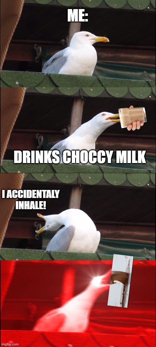 No NO NO NO NOOOO | ME:; DRINKS CHOCCY MILK; I ACCIDENTALY INHALE! | image tagged in memes,inhaling seagull | made w/ Imgflip meme maker