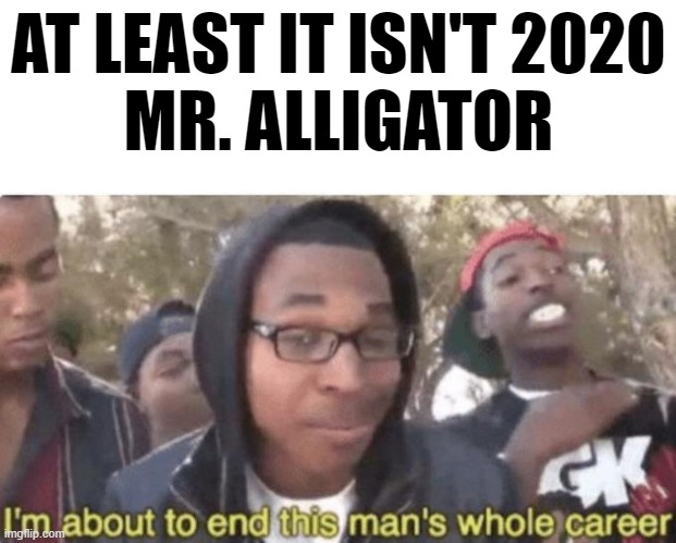 I'm about to end this mans whole career | AT LEAST IT ISN'T 2020
MR. ALLIGATOR | image tagged in i'm about to end this mans whole career | made w/ Imgflip meme maker