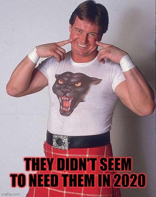 Roddy Piper Grinning | THEY DIDN'T SEEM TO NEED THEM IN 2020 | image tagged in roddy piper grinning | made w/ Imgflip meme maker