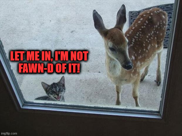 LET ME IN, I'M NOT
FAWN-D OF IT! | image tagged in eye roll | made w/ Imgflip meme maker