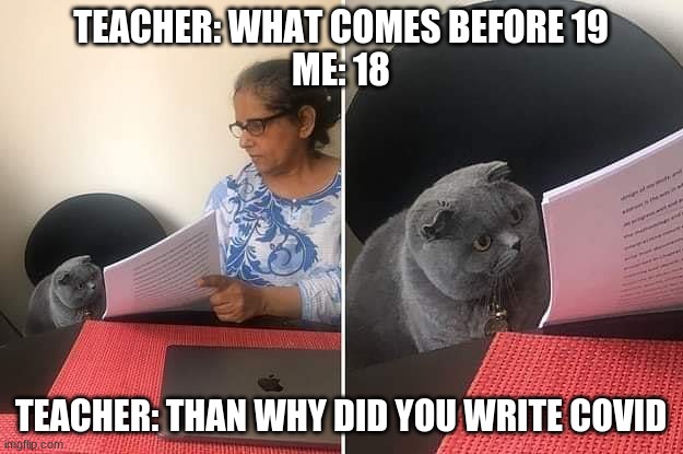Literally everyone in 2021 | TEACHER: WHAT COMES BEFORE 19
ME: 18; TEACHER: THAN WHY DID YOU WRITE COVID | image tagged in woman showing paper to cat | made w/ Imgflip meme maker