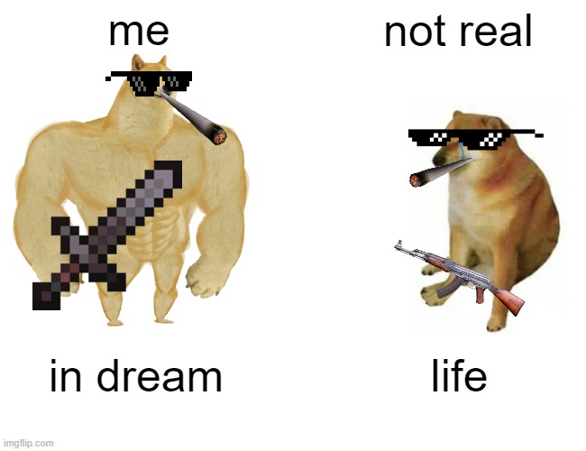 me not real in dream life | image tagged in memes,buff doge vs cheems | made w/ Imgflip meme maker