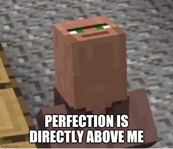 Minecraft Villager Looking Up | PERFECTION IS DIRECTLY ABOVE ME | image tagged in minecraft villager looking up | made w/ Imgflip meme maker