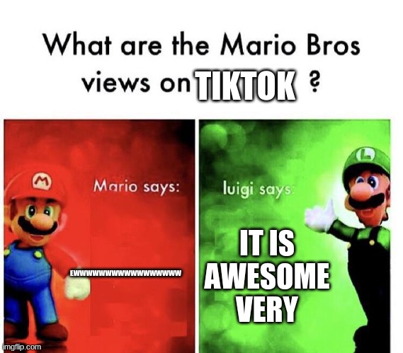 Mario Bros Views | EWWWWWWWWWWWWWWWWW IT IS AWESOME VERY TIKTOK | image tagged in mario bros views | made w/ Imgflip meme maker