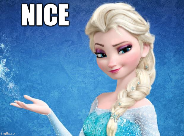 Elsa Frozen | NICE | image tagged in elsa frozen | made w/ Imgflip meme maker