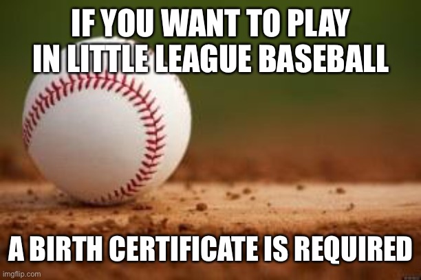 Baseball | IF YOU WANT TO PLAY IN LITTLE LEAGUE BASEBALL A BIRTH CERTIFICATE IS REQUIRED | image tagged in baseball | made w/ Imgflip meme maker