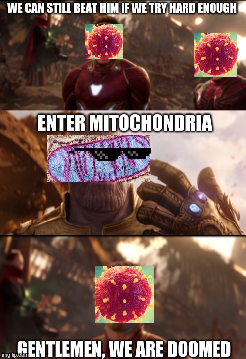 Iron man vs The Powerhouse of the Cell | WE CAN STILL BEAT HIM IF WE TRY HARD ENOUGH; ENTER MITOCHONDRIA; GENTLEMEN, WE ARE DOOMED | image tagged in thanos | made w/ Imgflip meme maker
