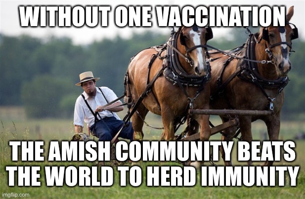 Was social distancing counter productive? | WITHOUT ONE VACCINATION; THE AMISH COMMUNITY BEATS THE WORLD TO HERD IMMUNITY | image tagged in amish farmer,herd immunity,no vaccination | made w/ Imgflip meme maker