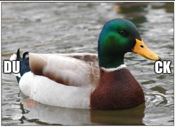 Actual Advice Mallard Meme | DU CK | image tagged in memes,actual advice mallard | made w/ Imgflip meme maker