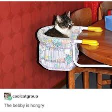 the bebby Blank Meme Template