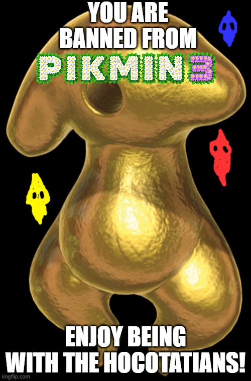 You are banned from Pikmin 3 | YOU ARE BANNED FROM; ENJOY BEING WITH THE HOCOTATIANS! | image tagged in plasm wraith,banned from pikmin 3,pikmin ghosts,sh-tpost | made w/ Imgflip meme maker