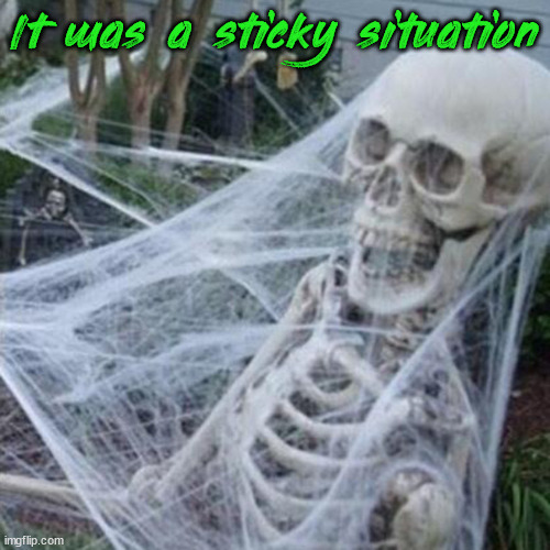 skeleton with spider web | It was a sticky situation | image tagged in skeleton with spider web | made w/ Imgflip meme maker