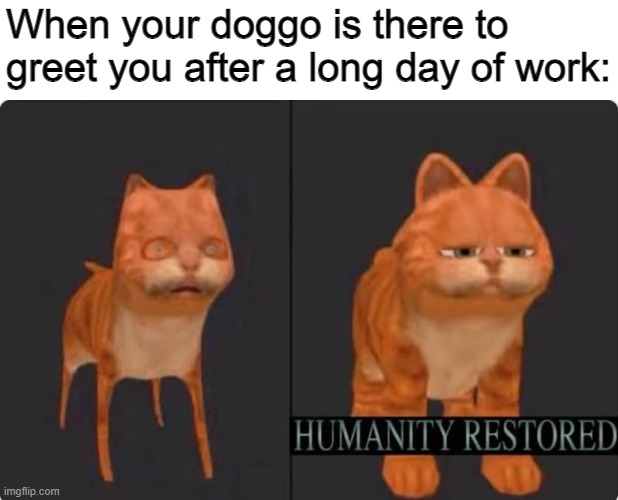 Humanity has been restored. |  When your doggo is there to greet you after a long day of work: | image tagged in humanity restored,garfield,memes,fun,oh wow are you actually reading these tags | made w/ Imgflip meme maker