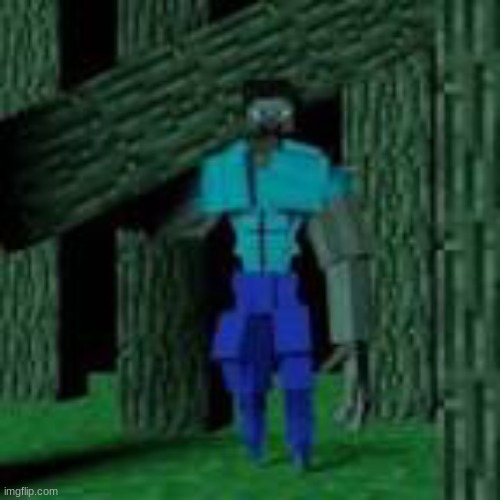 image tagged in buff steve | made w/ Imgflip meme maker