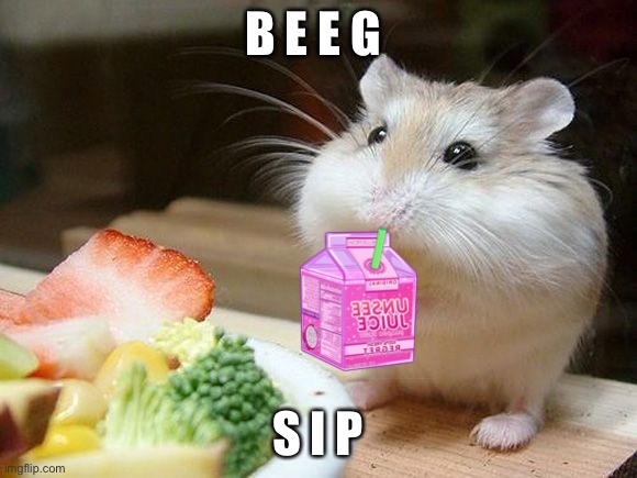 NOM NOM NOM | B E E G S I P | image tagged in nom nom nom | made w/ Imgflip meme maker