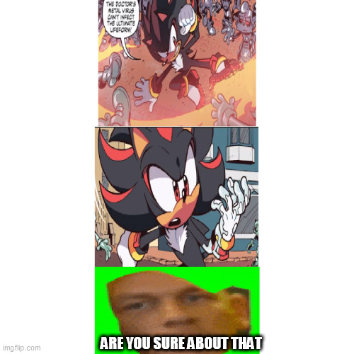 Are you sure about that | ARE YOU SURE ABOUT THAT | image tagged in memes,shadow the hedgehog | made w/ Imgflip meme maker