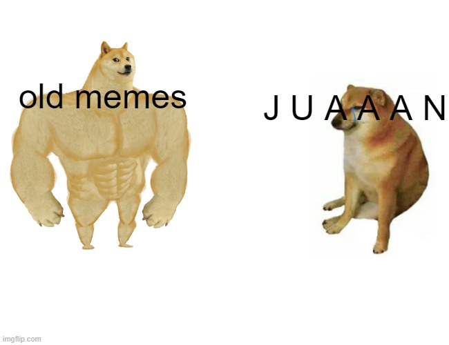Buff Doge vs. Cheems | old memes; J U A A A N | image tagged in memes,buff doge vs cheems | made w/ Imgflip meme maker