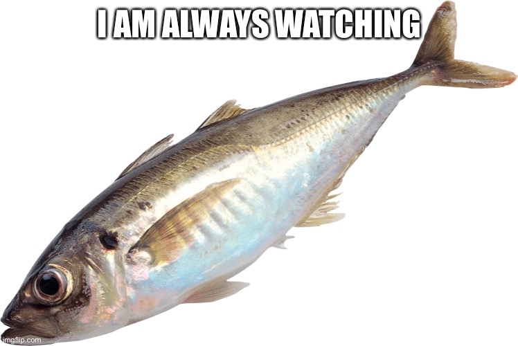 No seriously, I won’t have posted or commented on hours but I’ll be watching | I AM ALWAYS WATCHING | made w/ Imgflip meme maker