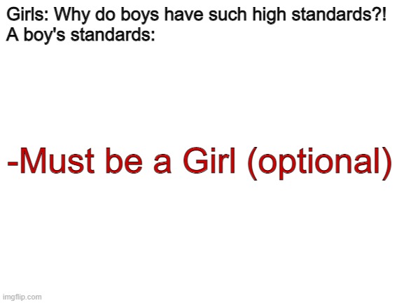 Blank White Template | Girls: Why do boys have such high standards?!
A boy's standards:; -Must be a Girl (optional) | image tagged in blank white template | made w/ Imgflip meme maker