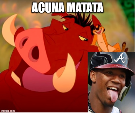 Acuna Matata | ACUNA MATATA | image tagged in baseball | made w/ Imgflip meme maker