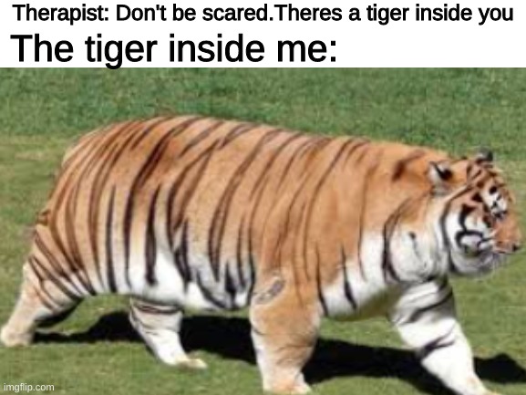 A chonky tiger | Therapist: Don't be scared.Theres a tiger inside you; The tiger inside me: | image tagged in chonk,memes,funny,not really a gif,therapist,tigers | made w/ Imgflip meme maker