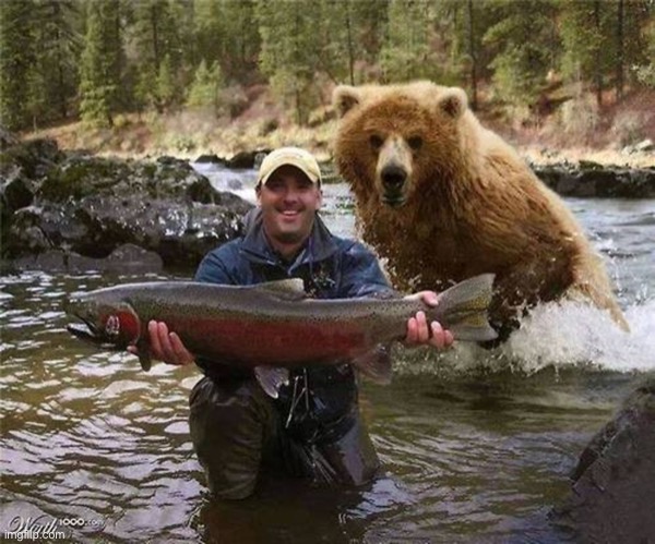 Man Bear Fish | image tagged in man bear fish | made w/ Imgflip meme maker