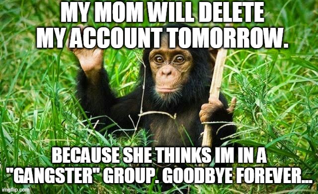 goodbye | MY MOM WILL DELETE MY ACCOUNT TOMORROW. BECAUSE SHE THINKS IM IN A "GANGSTER" GROUP. GOODBYE FOREVER... | image tagged in goodbye | made w/ Imgflip meme maker