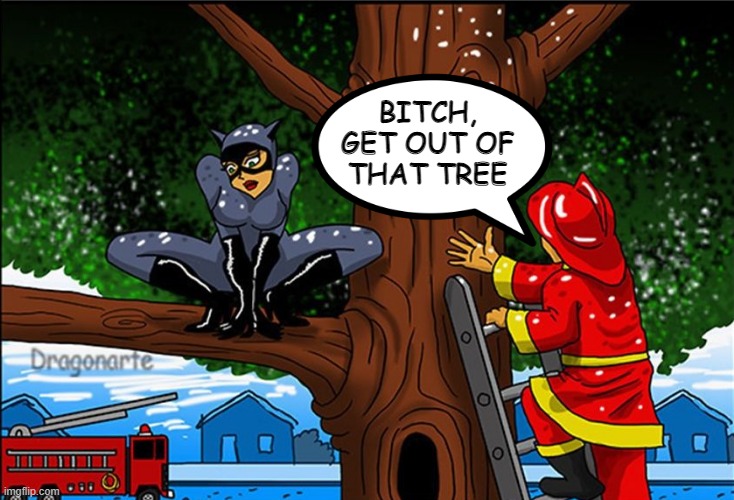 Pussy in a Tree | BITCH, GET OUT OF THAT TREE | image tagged in catwoman | made w/ Imgflip meme maker