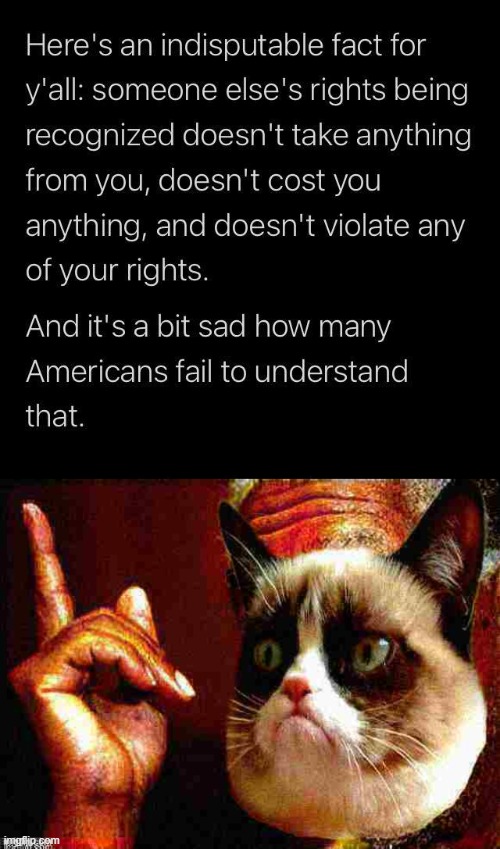 Listen to the grumpy Morgan Freeman cat on this one | image tagged in rights,morgan freeman cat he's right you know deep-fried 1,human rights,equal rights,equality,civil rights | made w/ Imgflip meme maker