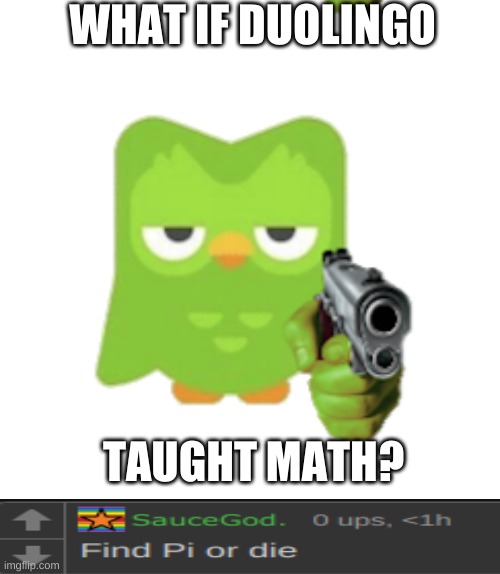 Duolingo | WHAT IF DUOLINGO; TAUGHT MATH? | image tagged in duolingo | made w/ Imgflip meme maker