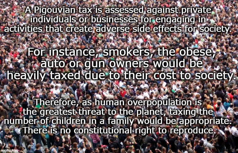 Pigouvian Tax | A Pigouvian tax is assessed against private individuals or businesses for engaging in activities that create adverse side effects for society. For instance, smokers, the obese, auto or gun owners would be heavily taxed due to their cost to society. Therefore, as human overpopulation is the greatest threat to the planet, taxing the number of children in a family would be appropriate.
 There is no constitutional right to reproduce. | image tagged in crowd of people,overpopulation,ecology,tax,constitutional rights,freedom | made w/ Imgflip meme maker