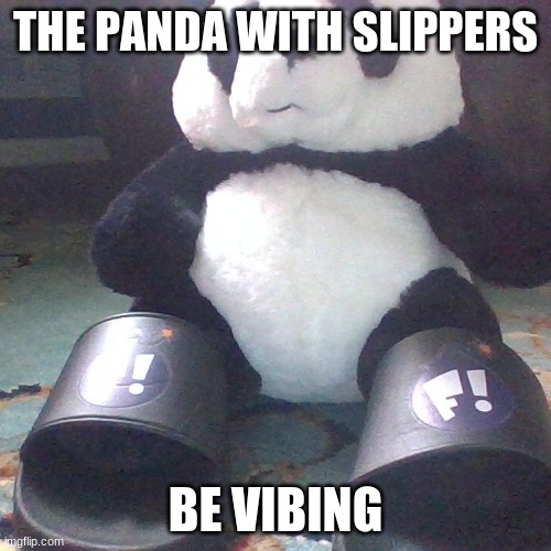 this panda is vibing | THE PANDA WITH SLIPPERS; BE VIBING | image tagged in vibe check,funny memes,panda | made w/ Imgflip meme maker