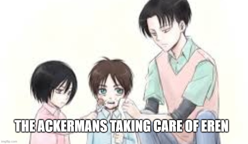 awwwwwwwww | THE ACKERMANS TAKING CARE OF EREN | image tagged in anime | made w/ Imgflip meme maker