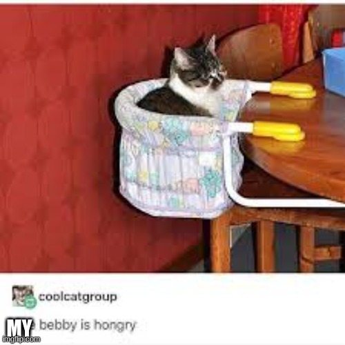 the bebby | MY | image tagged in the bebby | made w/ Imgflip meme maker