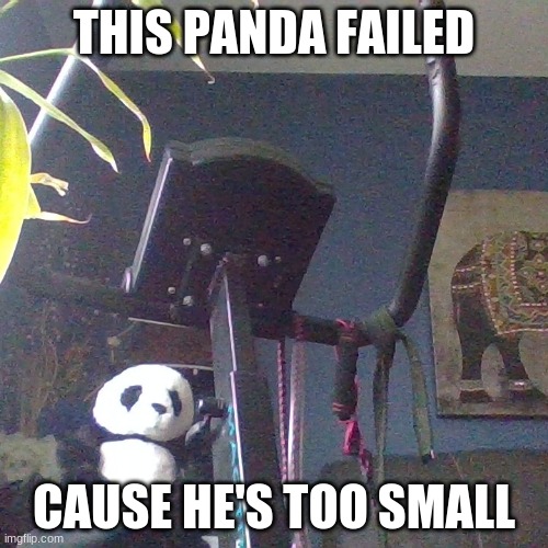 panda on a bike | THIS PANDA FAILED; CAUSE HE'S TOO SMALL | image tagged in bike fall,task failed successfully,fails,small,tiny | made w/ Imgflip meme maker