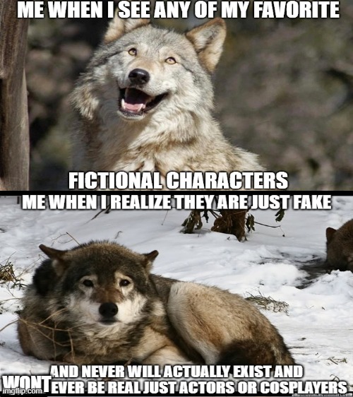 wolf april first | WONT | image tagged in wolf,april first | made w/ Imgflip meme maker