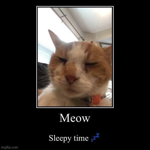 Sleepy Meow | image tagged in funny,demotivationals,cat,cute,sleep,pedro | made w/ Imgflip demotivational maker