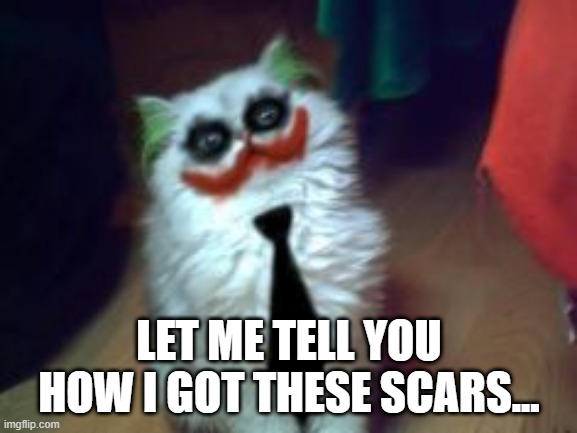 Joker Cat | LET ME TELL YOU HOW I GOT THESE SCARS... | image tagged in funny cat,joker | made w/ Imgflip meme maker