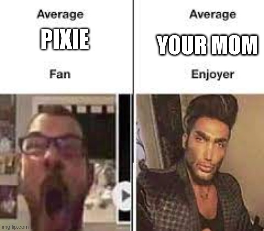 sicko mode sause | YOUR MOM; PIXIE | image tagged in funny memes | made w/ Imgflip meme maker