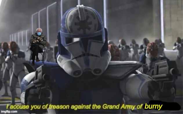 I Accuse you of Treason | burny | image tagged in i accuse you of treason | made w/ Imgflip meme maker