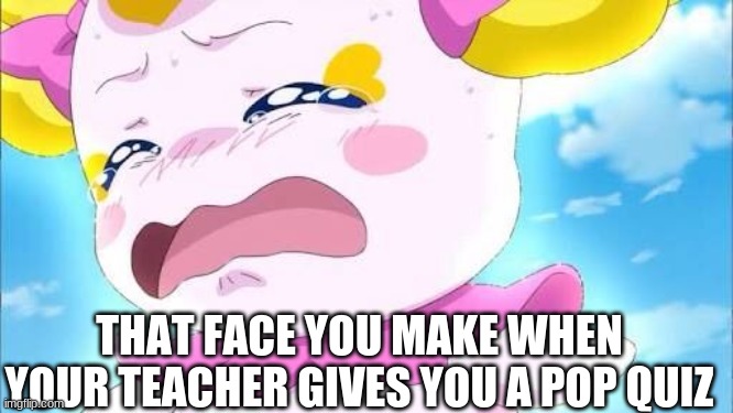 sad candy | THAT FACE YOU MAKE WHEN YOUR TEACHER GIVES YOU A POP QUIZ | image tagged in sad candy | made w/ Imgflip meme maker