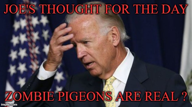 Biden zombie Pigeons | JOE'S THOUGHT FOR THE DAY; ZOMBIE PIGEONS ARE REAL ? | image tagged in joe biden worries | made w/ Imgflip meme maker