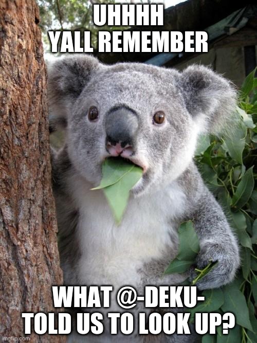 I forgot :T | UHHHH YALL REMEMBER; WHAT @-DEKU- TOLD US TO LOOK UP? | image tagged in memes,surprised koala | made w/ Imgflip meme maker